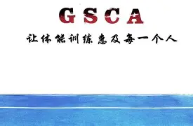 关于国际比赛日体能课后；广东宏远主帅复盘备战CBA季后赛；管理层满意；团队化学反应显著的信息-竞技宝网页版
