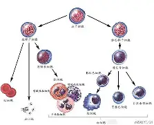 关于A鶗lc掮镘覃'd+?髓?櫫3醏F摬"麙z蟝7Yq#)D粯S的信息-竞技宝网页版